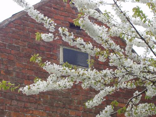 Bings Heath Primitive Methodist Chapel
